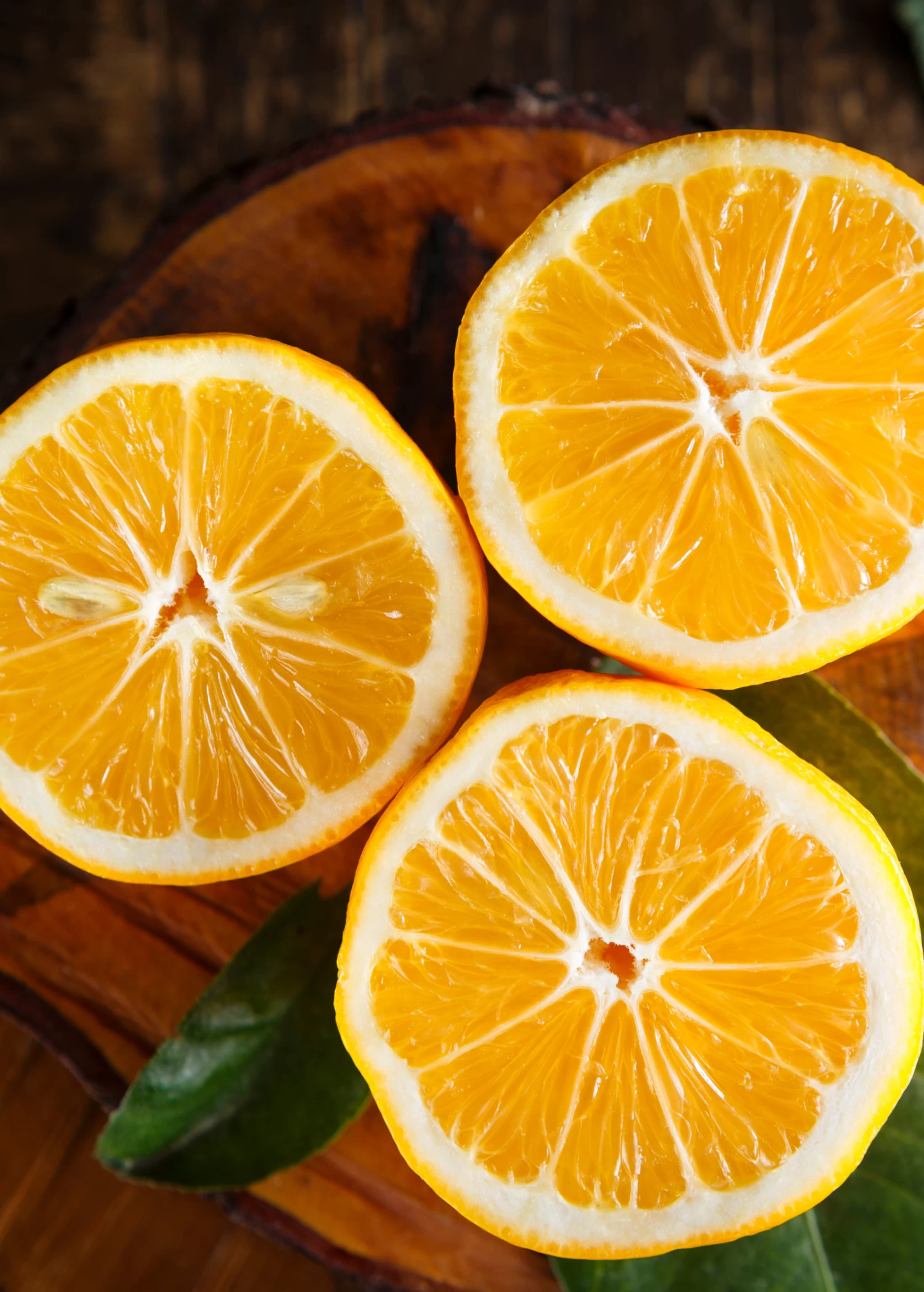 Meyer Lemon (Citrus × Meyeri)