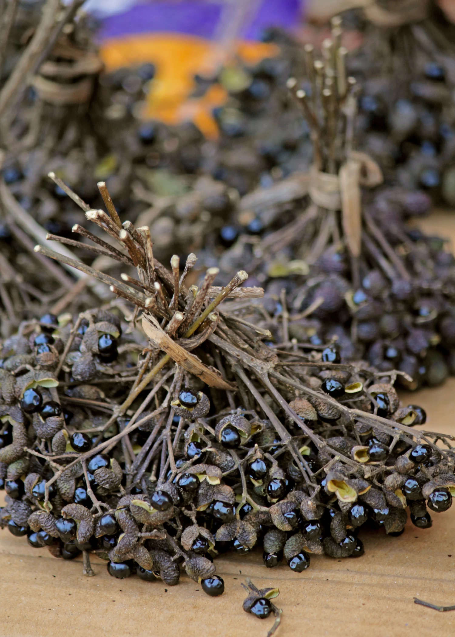 Allspice (Pimenta Dioica) - Image 5