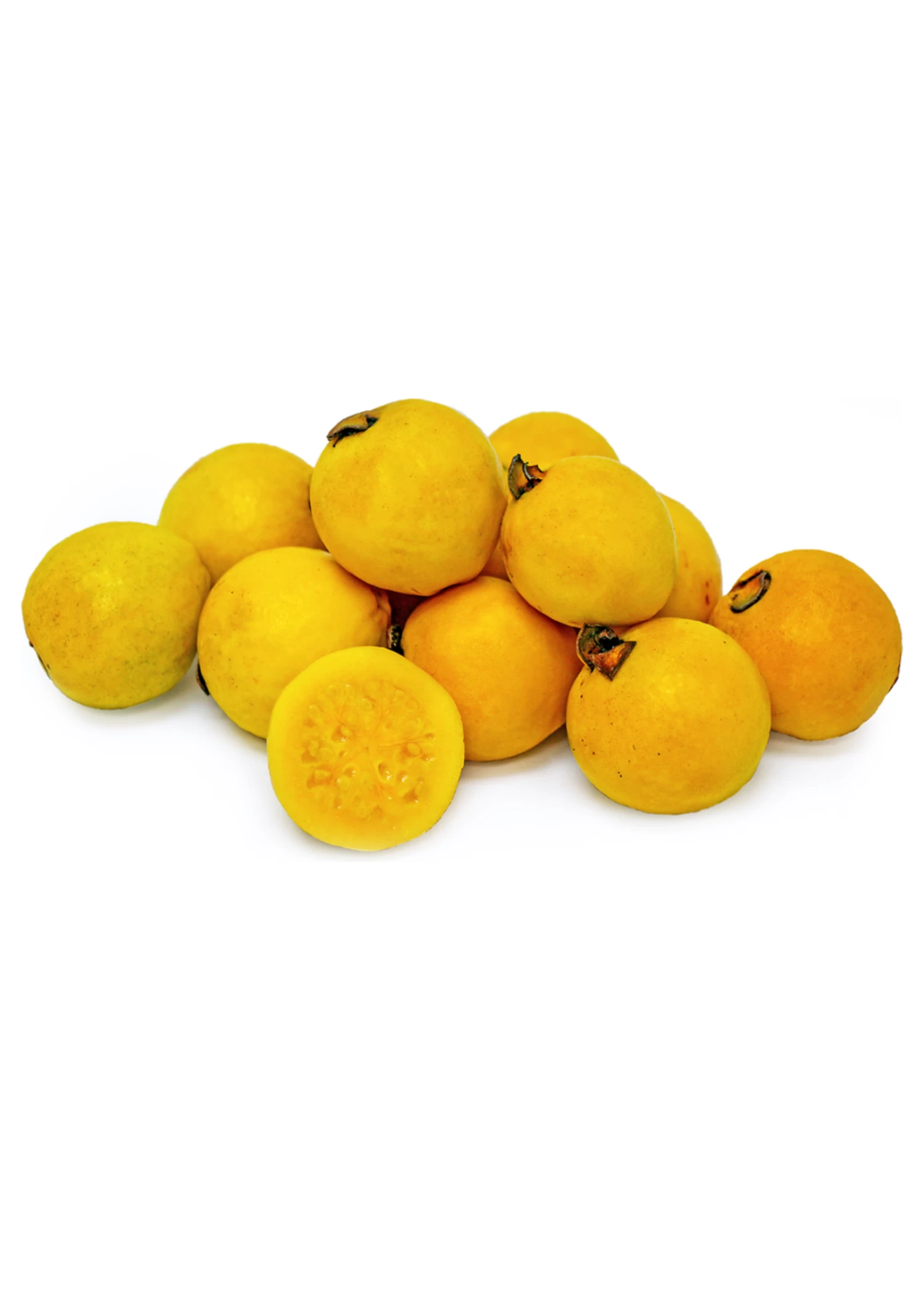Brazilian Guava (Psidium Angulatum) - Image 3