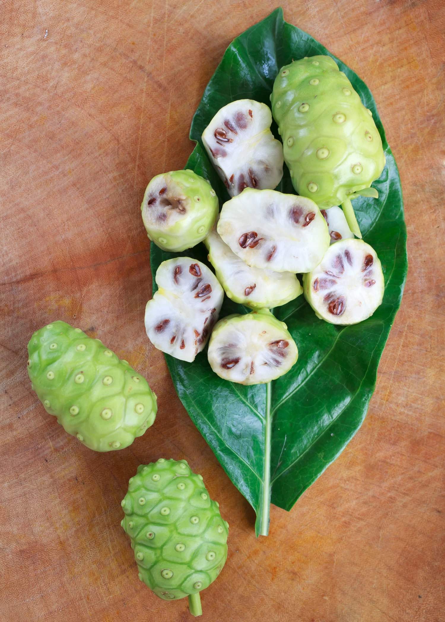 Noni (Morinda Citrifolia) - Image 6