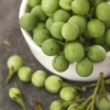 Pea Eggplant (Solanum Torvum)