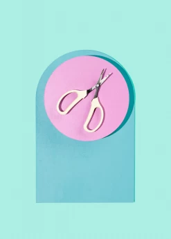 Angled Blade Fruit Scissor