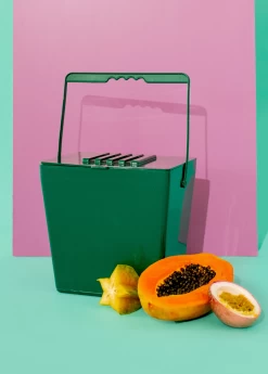 Mini Kitchen Compost Caddy