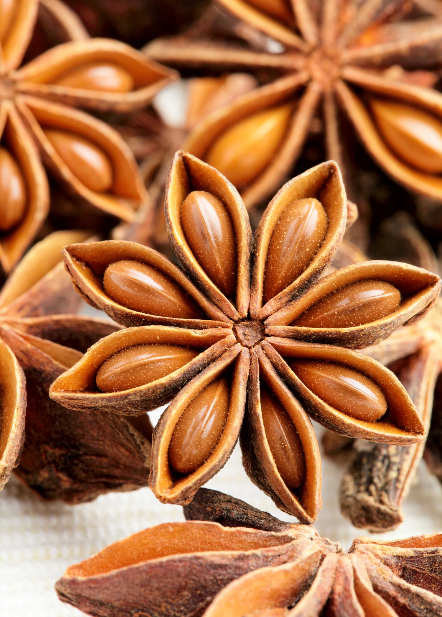 Star Anise (Illicium Verum) - Image 2