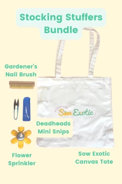 Stocking Stuffers Bundle