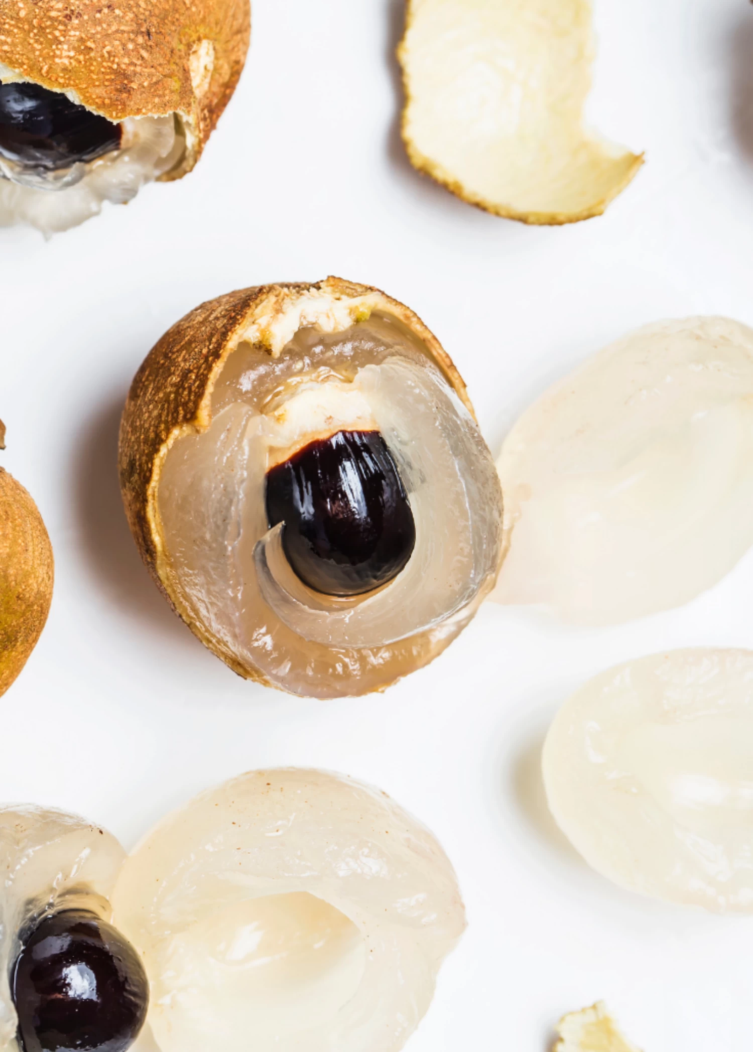 Longan, 'Biew Kiew' (Dimocarpus Longan) - Image 2