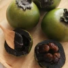 Black Sapote ‘Reineke’ (Diospyros Nigra)