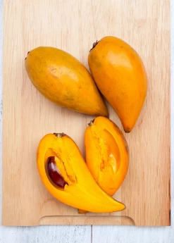 Canistel 'Fairchild #2' (Pouteria Campechiana)