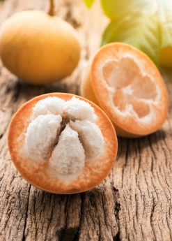 Santol (Sandoricum Koetjape)