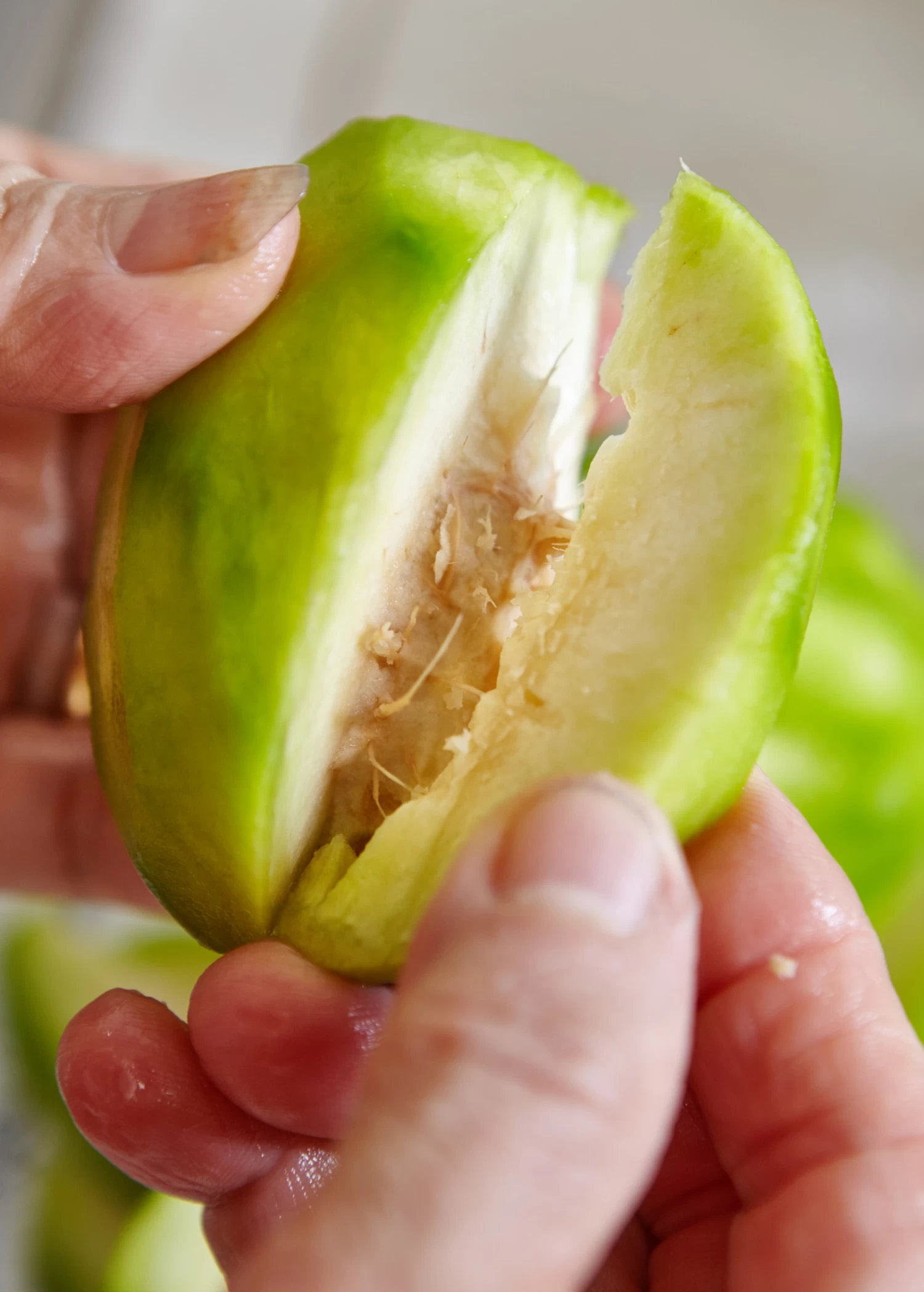 June Plum (Spondias Dulcis) - Image 6