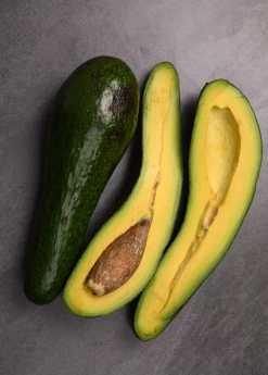 Avocado 'Russel' (Long Neck!) (Persia Americana)