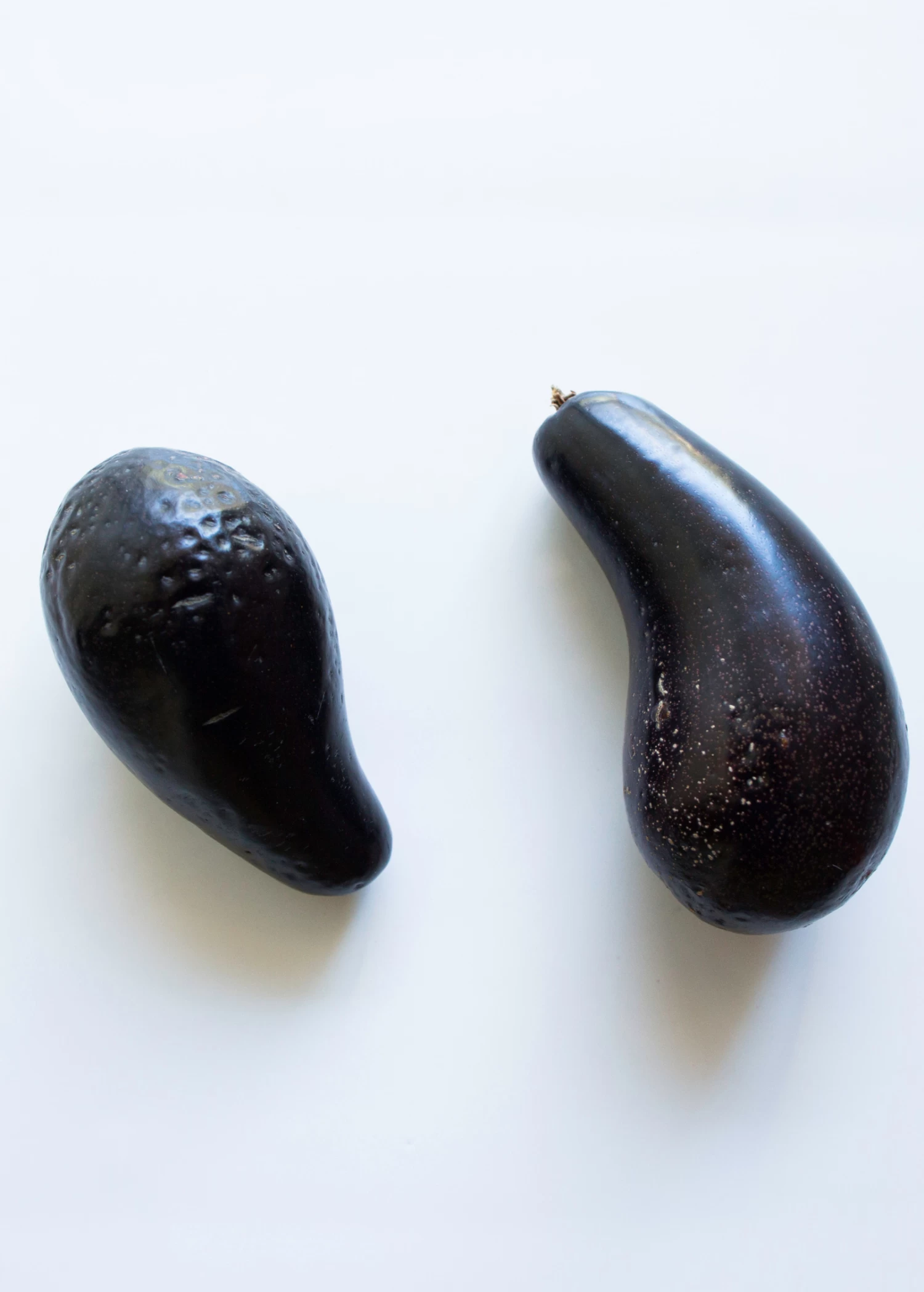 Avocado 'Mexicola' (Persea Americana) - Image 2