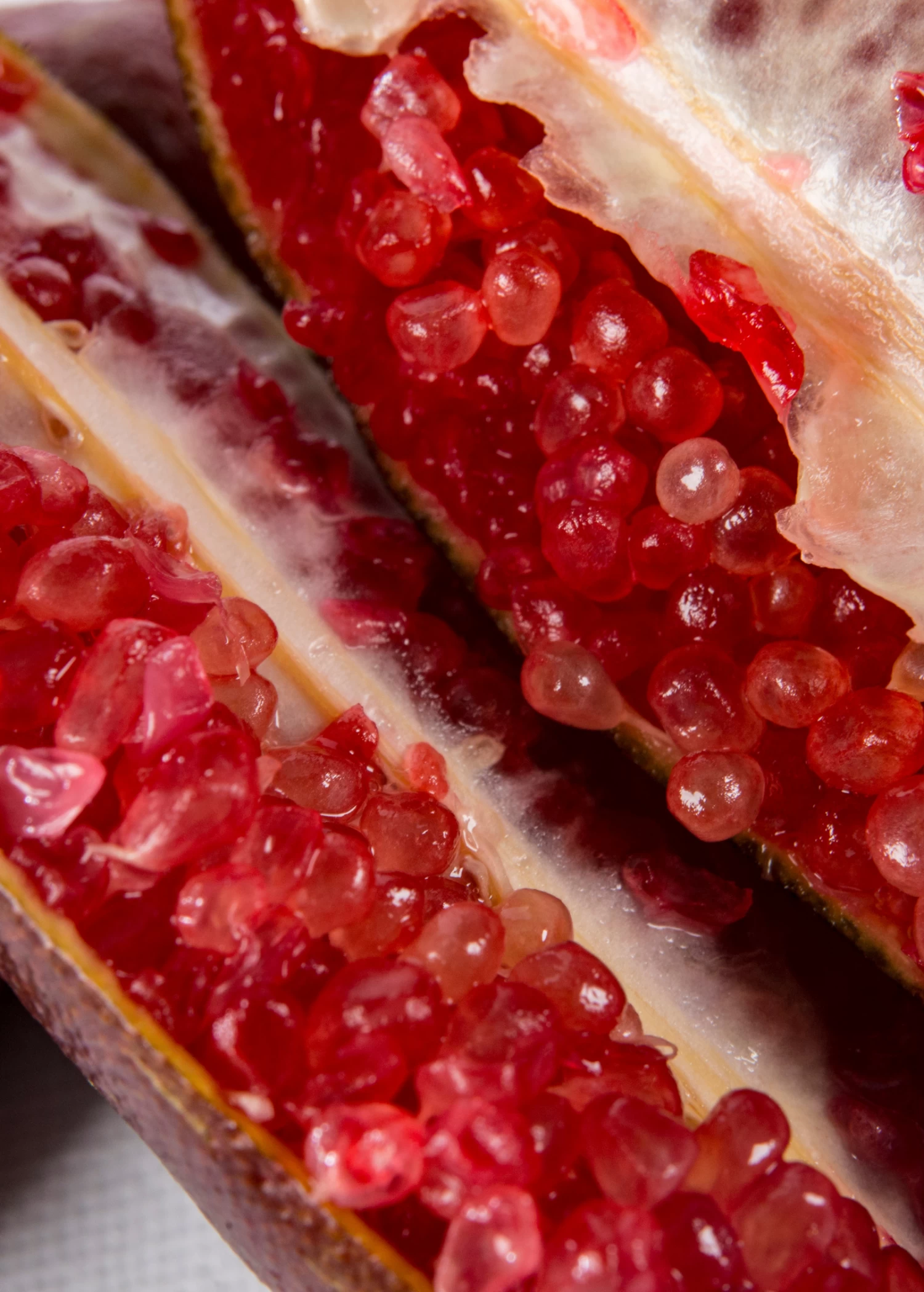 Red Finger Lime (Citrus Australasica) - Image 2