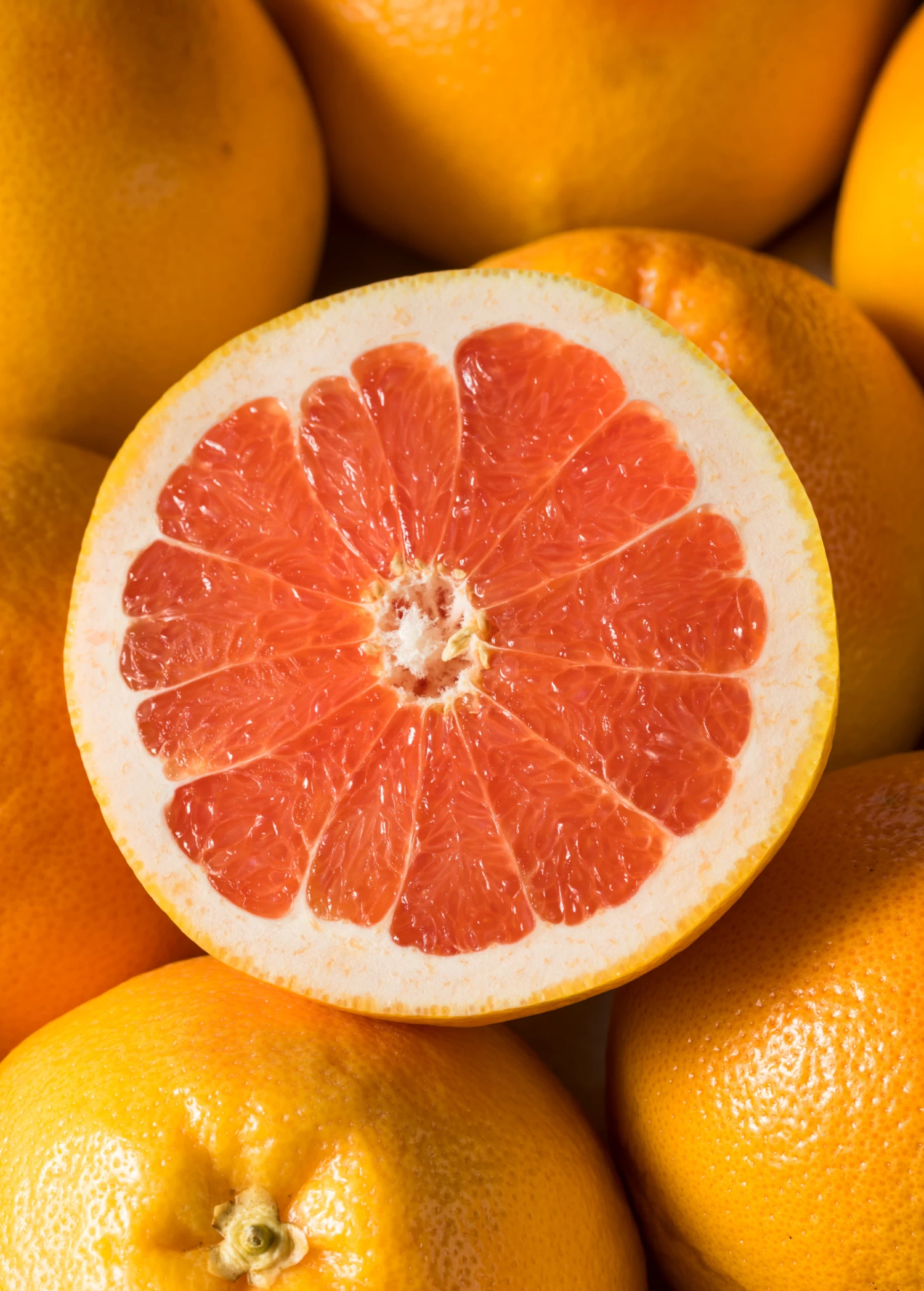 Ruby Red Grapefruit (Citrus × Paradisi)