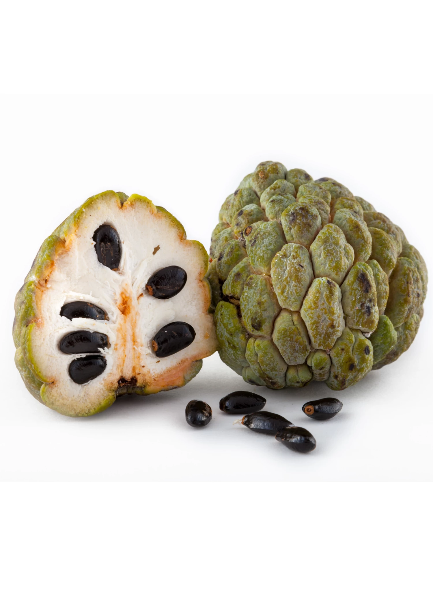 Sugar Apple 'Thai Lessard' (Annona Squamosa L) - Image 2